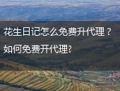 花生日记怎么免费升代理