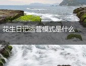 花生日记运营模式
