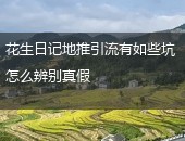 花生日记地推
