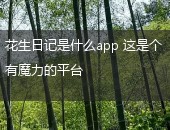 花生日记app,花生日记是什么