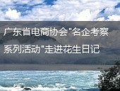 花生日记,花生日记代理