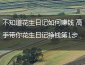 花生日记,花生日记如何赚钱