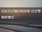 花生日记模式,花生日记优势