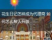 花生日记,花生日记成为代理商