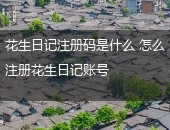 花生日记注册码