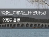 粉象生活,花生日记