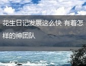 花生日记团队