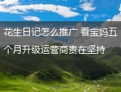 花生日记,花生日记怎么推广