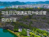 花生日记运营商