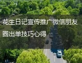 花生日记推广
