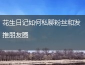 花生日记私聊粉丝
