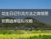 花生日记,花生日记引流方法