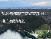 花生日记推广