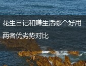花生日记,赚生活