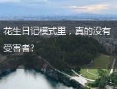 花生日记,花生日记模式