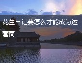 花生日记,花生日记运营商