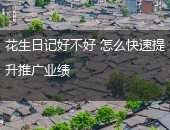 花生日记好不好
