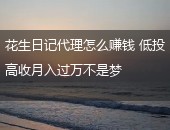 花生日记代理怎么赚钱