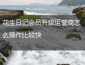花生日记,花生日记会员升级