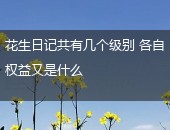 花生日记,花生日记权益