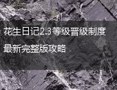 花生日记,花生日记晋级制度