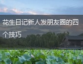 花生日记发朋友圈