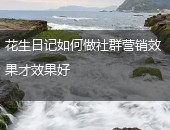 花生日记社群营销