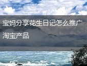 花生日记推广,花生日记怎么推广