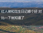 红人装,花生日记