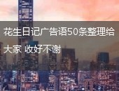 花生日记广告语