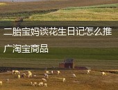 花生日记推广,花生日记怎么推广