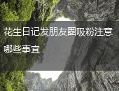 花生日记发朋友圈