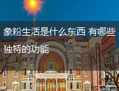 粉象生活