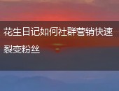 花生日记粉丝裂变