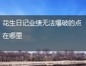 花生日记业绩