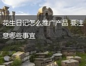 花生日记推广,花生日记怎么推广