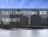 花生日记引流爆粉