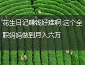 花生日记,花生日记赚钱好难