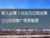 花生日记,花生日记推广语录
