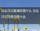 花生,日记,流程