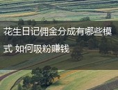 花生日记佣金模式,花生日记吸粉赚钱