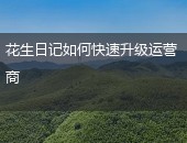 花生日记,花生日记升级运营商