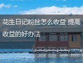 花生日记收益,花生日记粉丝怎么收益