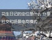 花生日记,花生日记定位