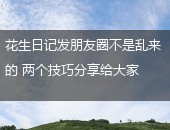 花生日记
