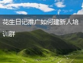 花生日记推广