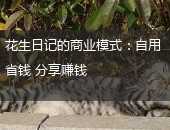 花生日记商业模式