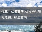 花生日记运营商