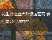 花生日记运营商