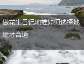 花生日记地推